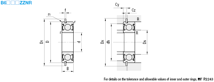 Deep Groove/Double Shielded with Retaining Ring Flange:Related Image