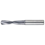 End Mill Shank Drill 3 X D for Carbide Processing H 1946 1946-006.900