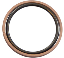 Piston Seal, PTFE-bronze, with O-ring NBR, OMK-MR