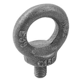 Ring bolts DIN 580 (K0767)