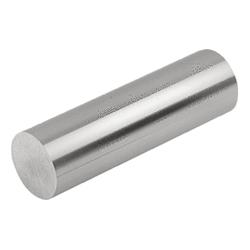 Magnets raw AlNiCo bar type (K1407)