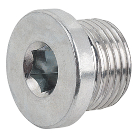 Screw plugs with collar and hexagon socket DIN 908 (K1130)