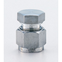 Stainless Steel High Pressure Fitting Cap