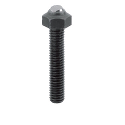 Clamping Screws / Head Clamp / Angle Type