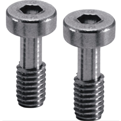 Low Hex Socket Head Drop Out Prevention Screw_SSCLS
