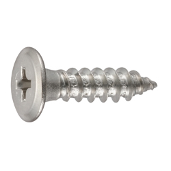 Cross Recessed Ultra Low Head Tapping Screw, Type 1 A Shape CSPSLS-STN-TP3-12
