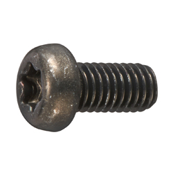 TRX Pan Head Screw