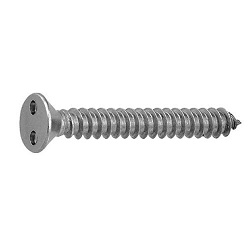 TRF / Tamper-Proof Screw, Stainless Steel, Two-Hole, Plate Tapping Screw (4 Models, AB Type)