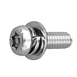 TRF / Tamper-Proof Screw, Iron Pin, Pot TRX I=3(SW+ISO W Incorporated)