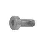 Reny Black Low Head Hex Socket Head Cap Screw