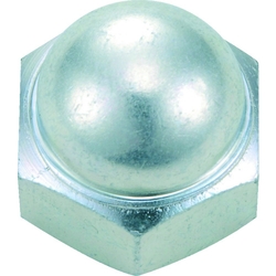 Cap Nut (Trivalent Chromate) B7390008