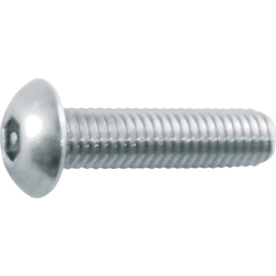 Button Bolt with Pin in Hex Socket Head (Stainless Steel)
