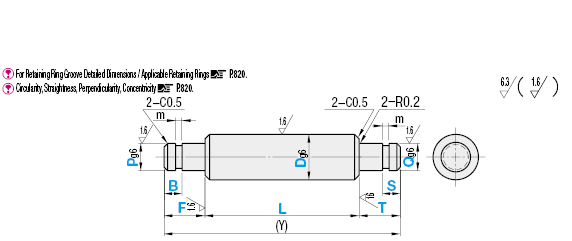 Rotary Shafts/Both Ends Stepped with Retaining Ring Groove:Related Image