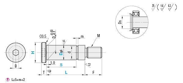 Bearing Shaft Screws/with Retaining Ring Groove/Stepped:Related Image