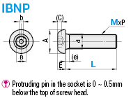 Button Head Cap Screws/Tamper Proof:Related Image