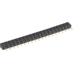 Socket Terminal Strip, Straight