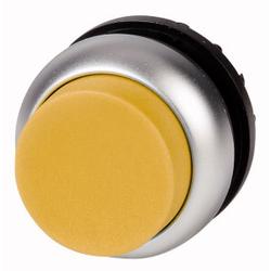Pushbutton, raised, yellow, maintained