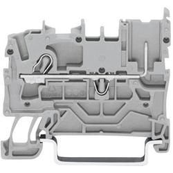 1-conductor / 1-pin carrier terminal block 2022