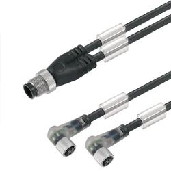 Sensor-Actuator Adaptor Cable (Assembled), Connecting Line, M12 / M8, Twin Cabling, Pin, Straight, 2X Socket, Angled