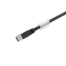 Sensor-Actuator Cable (Assembled), One End without Connector, M8