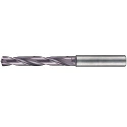 End Mill Shank Drill 5 × D with Oil Hole RT100U 5511 5511-004.200