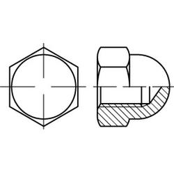 DIN 1587 Plastic Hexagon domed cap nuts