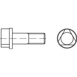 DIN 22424 Triangle head bolts 224248010080030