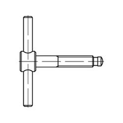 DIN 6304 Tommy screws