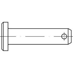 ISO 2341 Clevis pins with head