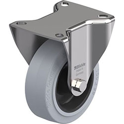 Stainless Steel Fixed Castor, BX-POEV Series