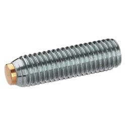 Grub screws with brass / plastic pivot, Stainless Steel 913.5-M10-40-MS