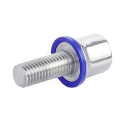 Stainless Steel-Screws, Hygienic Design (GN 1580)