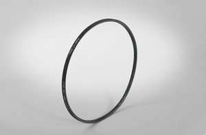 Wide Belt - Profile 11M, Single Belt G134111060