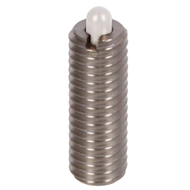 Spring Plungers with Bolt from Plastic, with Internal Hexagon, Stainless Steel