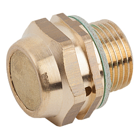 Vent screws brass with check valve (28042)