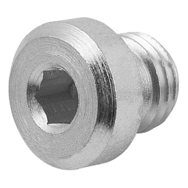 Screw plugs with hexagon socket (28021)