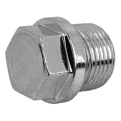 Screw plugs hex head with collar DIN 910 (28016)