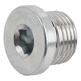 Screw plugs with collar and hexagon socket DIN 908 (28014)