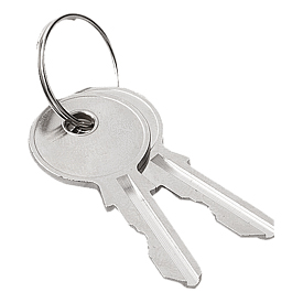 Keys for quarter-turn locks (05586)