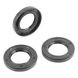 Rotary shaft lip seal radial (23915)