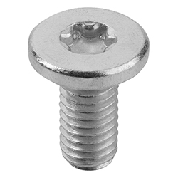 Mounting screw steel (21320)