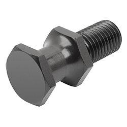 Hoist screws VDI 3366 (07679)