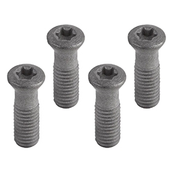 Mounting screw (21000)