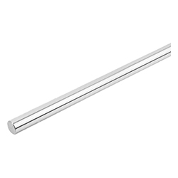 Precision guide shaft (21595)