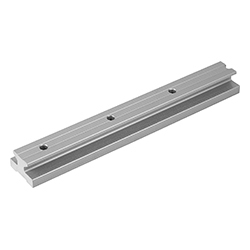 Guide rail DRYLIN® T (21200)