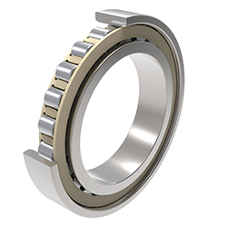 Single-Row Cylindrical Roller Bearing, with Plastic Cage, N10 Series