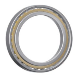 Cylindrical Roller Bearing N10 Series, Caged, Single Row