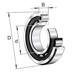 Cylindrical Roller Bearing NU Series, Caged, Single Row, X-Life