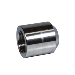 Screw-in Fitting for High Pressure PT BS / Boss Coupling PTBS-15A