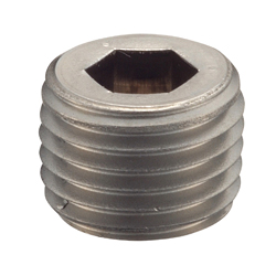 NPT Fittings SP / Sunk Head Plug